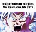 2.49 MB