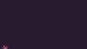 3.2 MB
