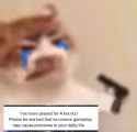 172 KB