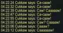 63 KB