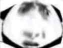 136 KB