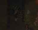 1.07 MB