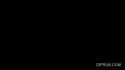 323 KB