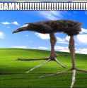 75 KB