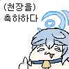 17 KB