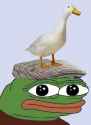 pepe_bird.png