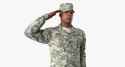 usarmysoldiercamouflagesalutingpose3dsmodel001.jpg