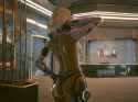 2.71 MB