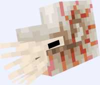 11 KB