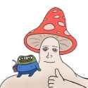 75 KB