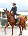 3.45 MB