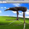 96 KB