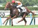 194 KB