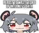 43 KB