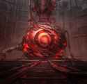 1.55 MB