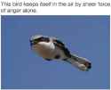 21 KB
