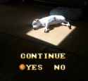 43 KB