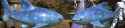 1.08 MB