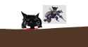 72 KB