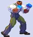 1.73 MB