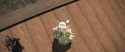 1.46 MB