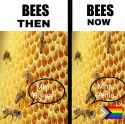 202 KB