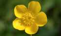 709 KB