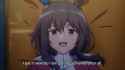 229 KB