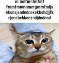 536 KB