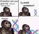 40 KB