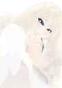 476 KB