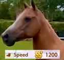 97 KB