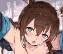 1.3 MB
