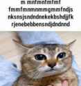 533 KB