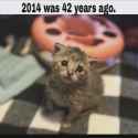 135 KB