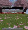 1.17 MB