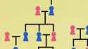 996 KB