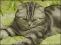 1019 KB