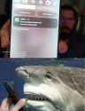 672 KB