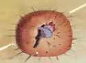 41 KB