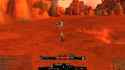 2.6 MB