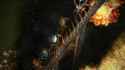 416 KB
