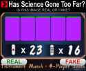 271 KB
