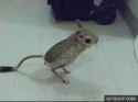 1.12 MB