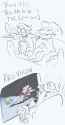 155 KB