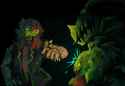 497 KB