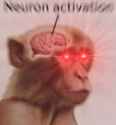 172 KB