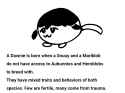 87 KB