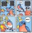 1.82 MB