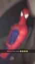 101 KB